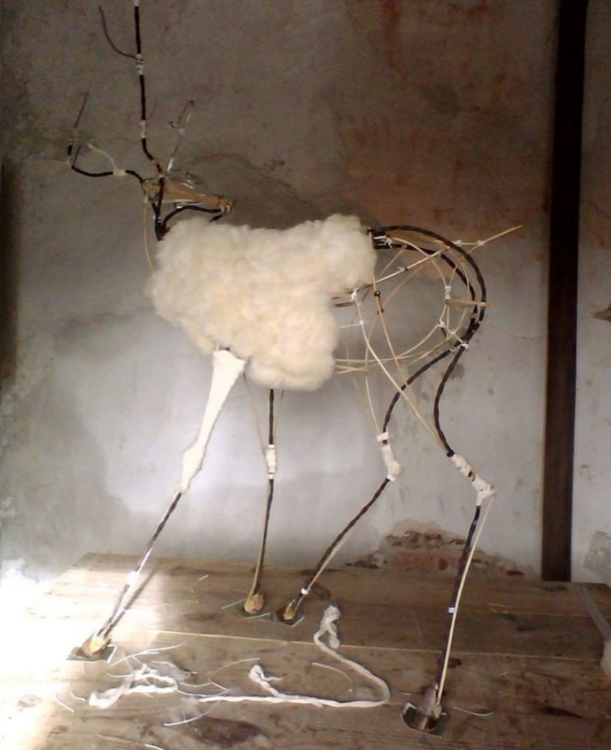 05.jpg